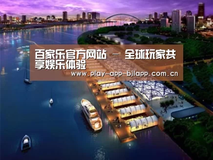 案例展示八