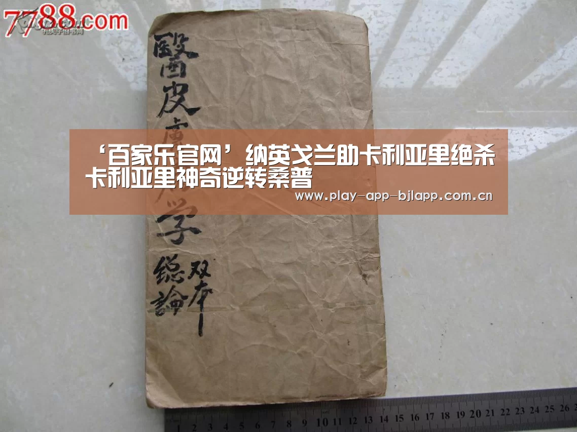 网上百家乐